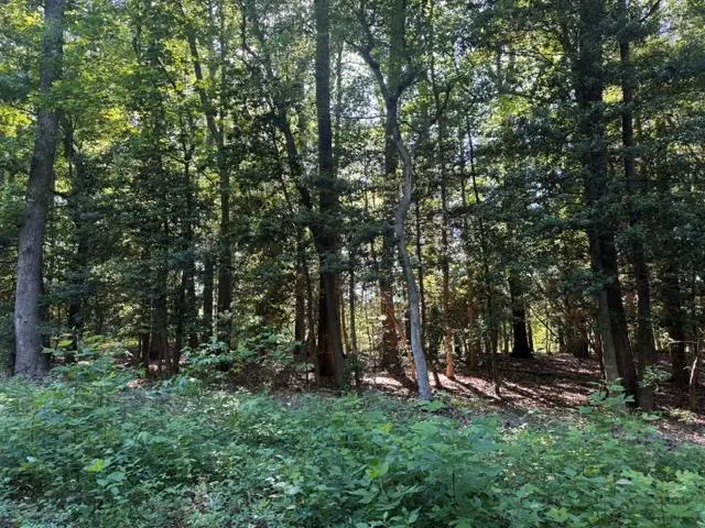 Lot 14 Cod Creek Drive, Heathsville, VA 22473 - #1