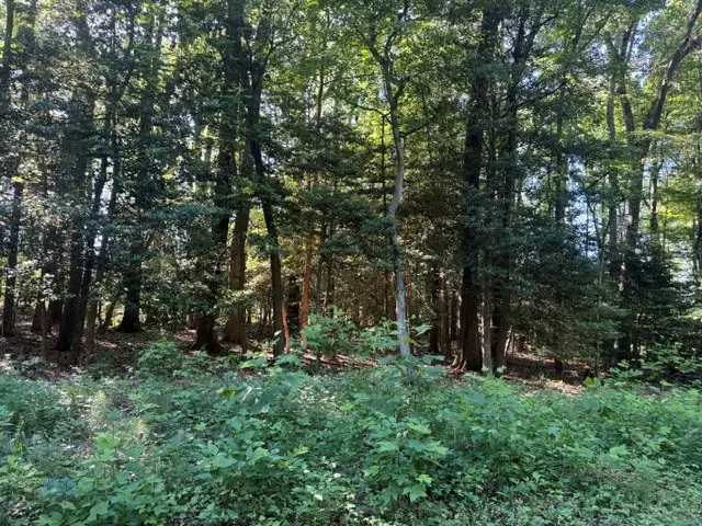 Lot 14 Cod Creek Drive, Heathsville, VA 22473 - #2