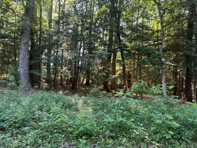 Lot 14 Cod Creek Drive, Heathsville, VA 22473 - #3