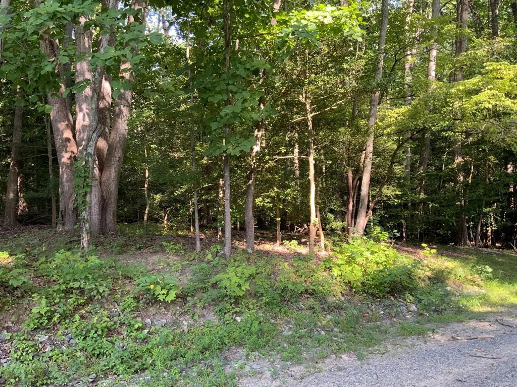 Lot 142 Ridgeview Lane, Lancaster, VA 22503 - #1