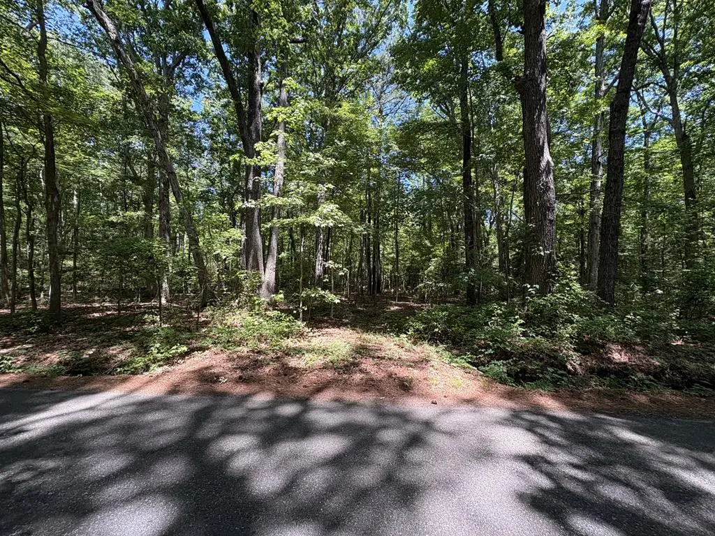 025 Bluff Point Road, Kilmarnock, VA 22482 - #1