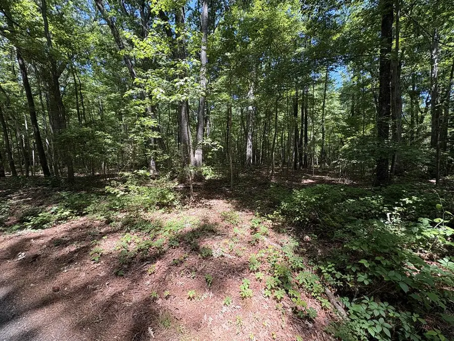 025 Bluff Point Road, Kilmarnock, VA 22482 - #3
