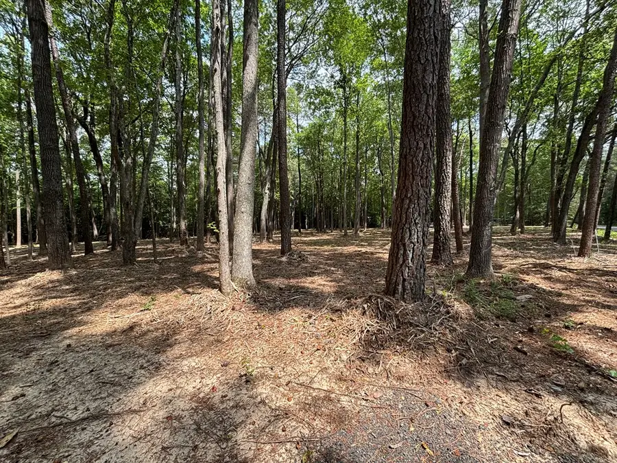 29 Harmony Hills Circle, Heathsville, VA 22473 - #2