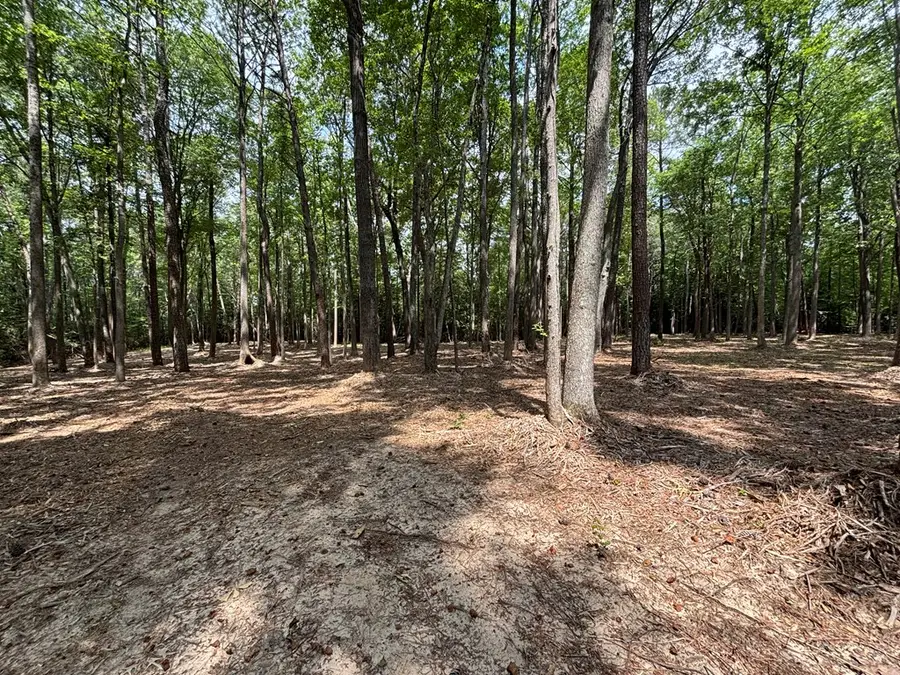 29 Harmony Hills Circle, Heathsville, VA 22473 - #3