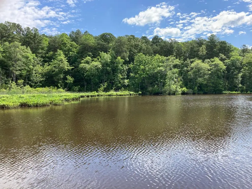 000 Rockfish Road, Heathsville, VA 22473 - #1