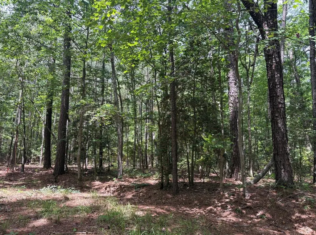 lot 27 Spotsylvania Rd, Hague, VA 22469 - #1