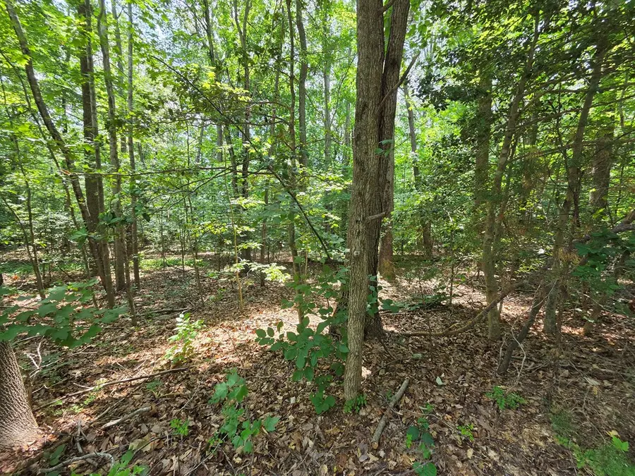 Lot 26 Greenpoint Landing Road, Montross, VA 22520 - #3