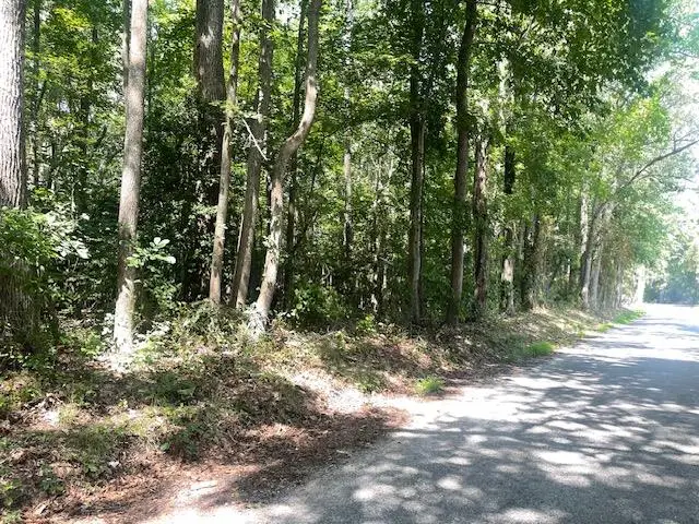 52-22 Woodbine Rd, Cople, VA 22572 - #2