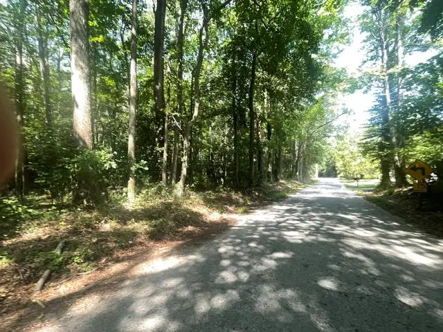 52-22 Woodbine Rd, Cople, VA 22572 - #3