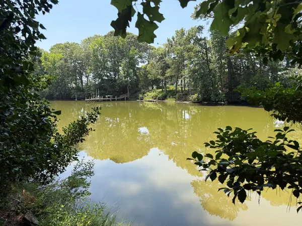 007 Natty Cove Lane, , VA 22482