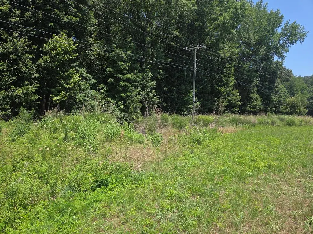 Lot 123 Northumberland Hwy, Callao, VA 22539 - #1