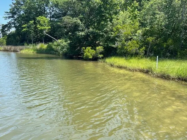 Lot 204 Dixie Ct, Heathsville, VA 22473 - #3