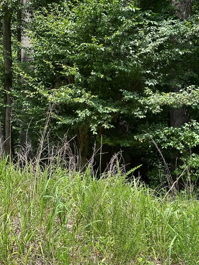 Lot 133 Bishop Drive, Montross, VA 22520 - #1
