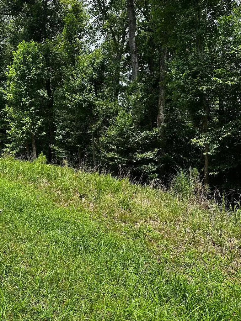 Lot 133 Bishop Drive, Montross, VA 22520 - #2