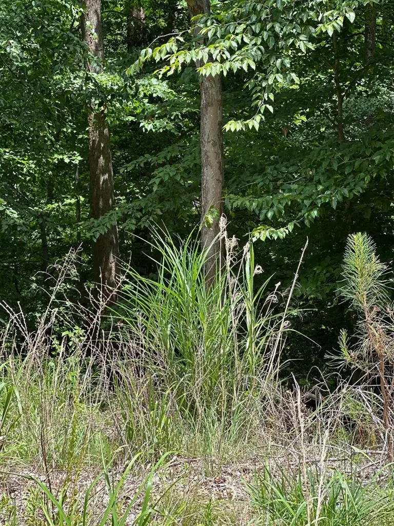 Lot 133 Bishop Drive, Montross, VA 22520 - #3