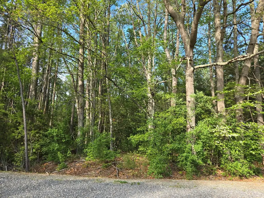 Lot 21 Tree Farm Rd, Heathsville, VA 22473 - #2