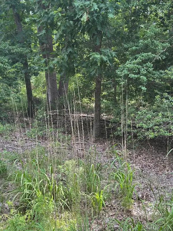 Lot 141 Lands End Drive, , VA 22520