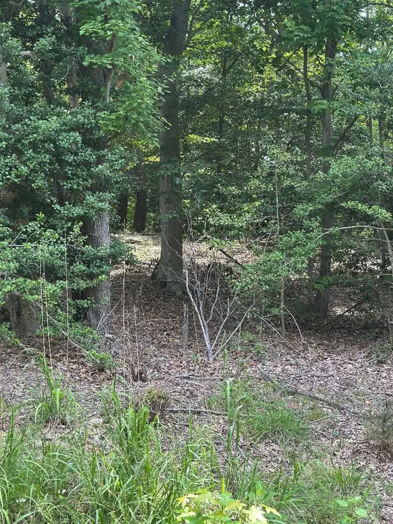 Lot 141 Lands End Drive, Montross, VA 22520 - #2