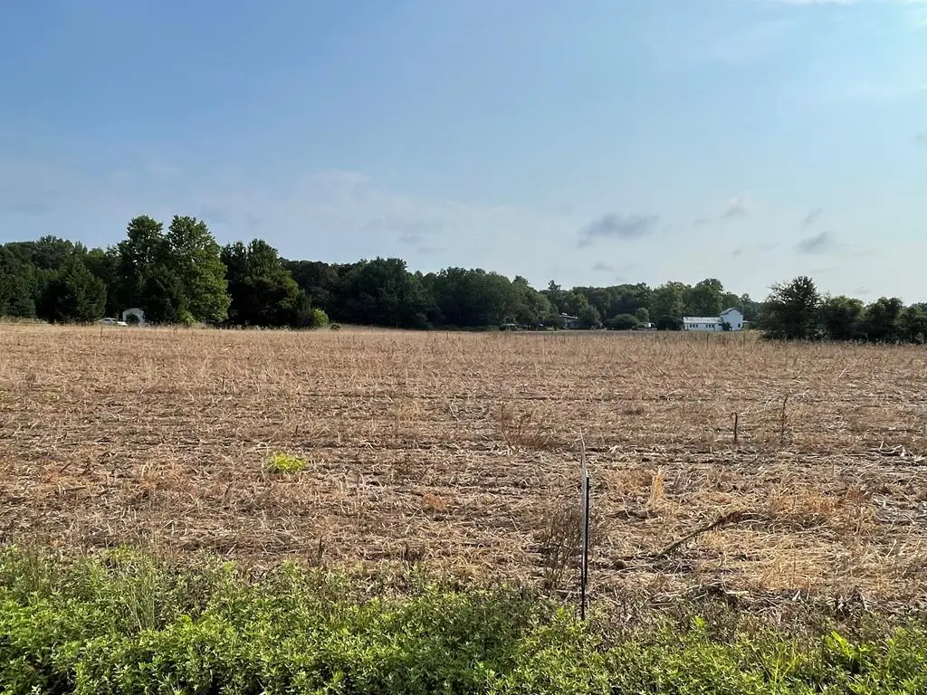 Lot 4 Fruit Plain Road, Callao, VA 22435 - #1