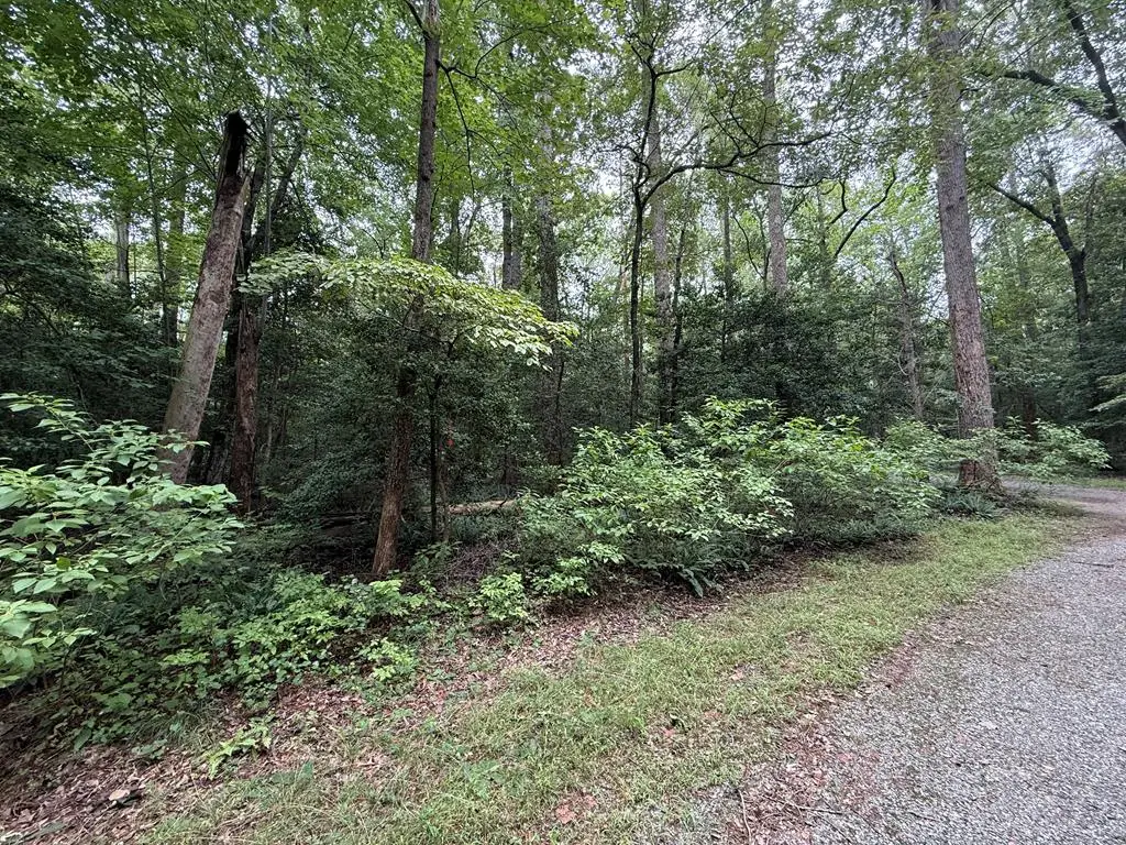 Lot 37 Dogwood Drive, Lancaster, VA 22503 - #1