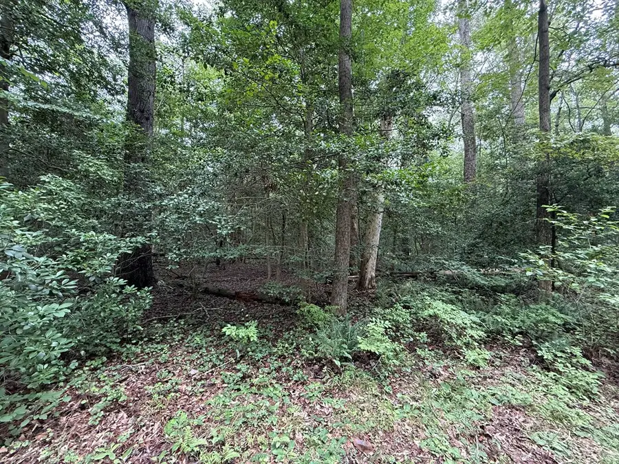 Lot 37 Dogwood Drive, Lancaster, VA 22503 - #2
