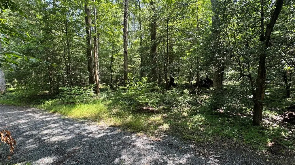 20E-1-39 Dogwood Drive, Mollusk, VA 22503 - #1