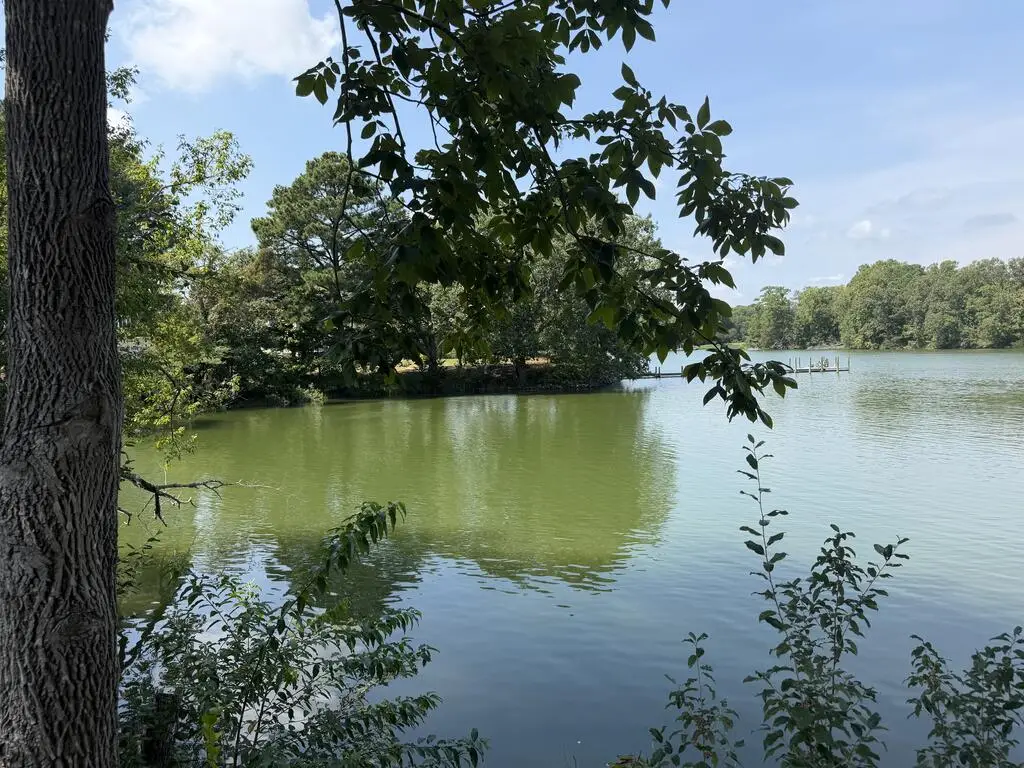 2.86 ac Point Pleasant Road, Kilmarnock, VA 22482 - #1