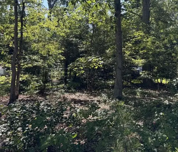 Lot 45 Mccormick Drive, , VA 22539