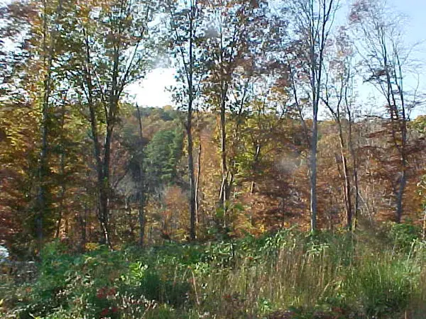 145 Laurel Lane, , VA 22572