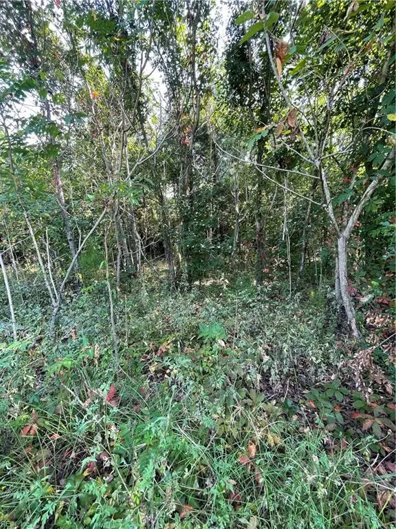 101 Kickapoo Trail, Edenton, NC 27932 - #3