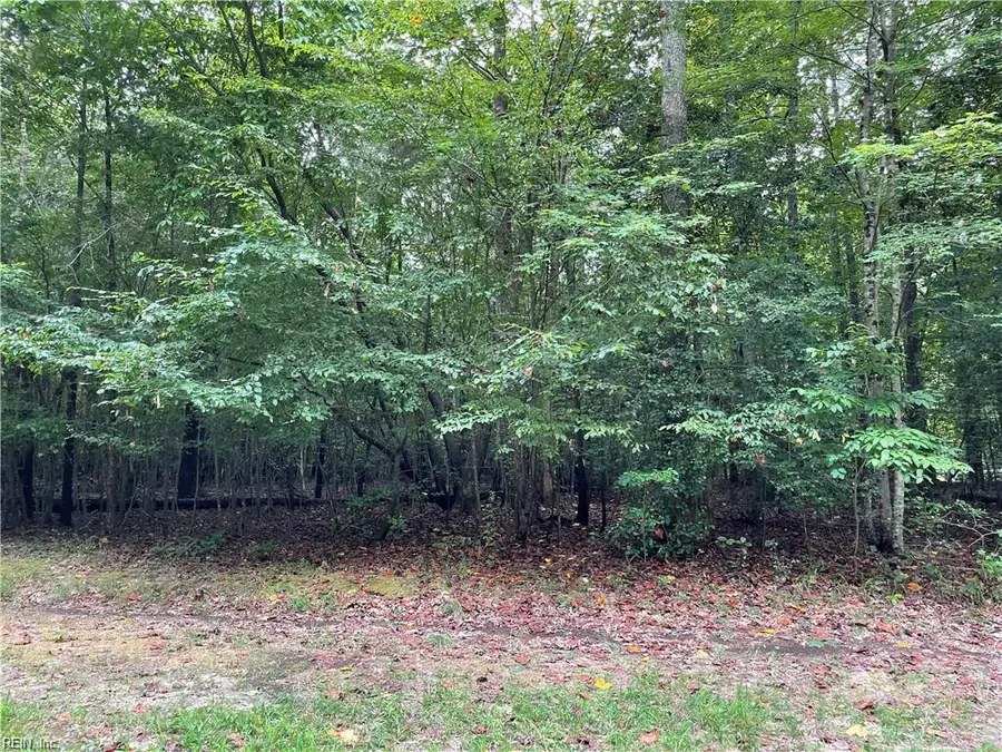 10+ac Beech Creek (10.88ac) Road, Gloucester, VA 23061 - Image #3