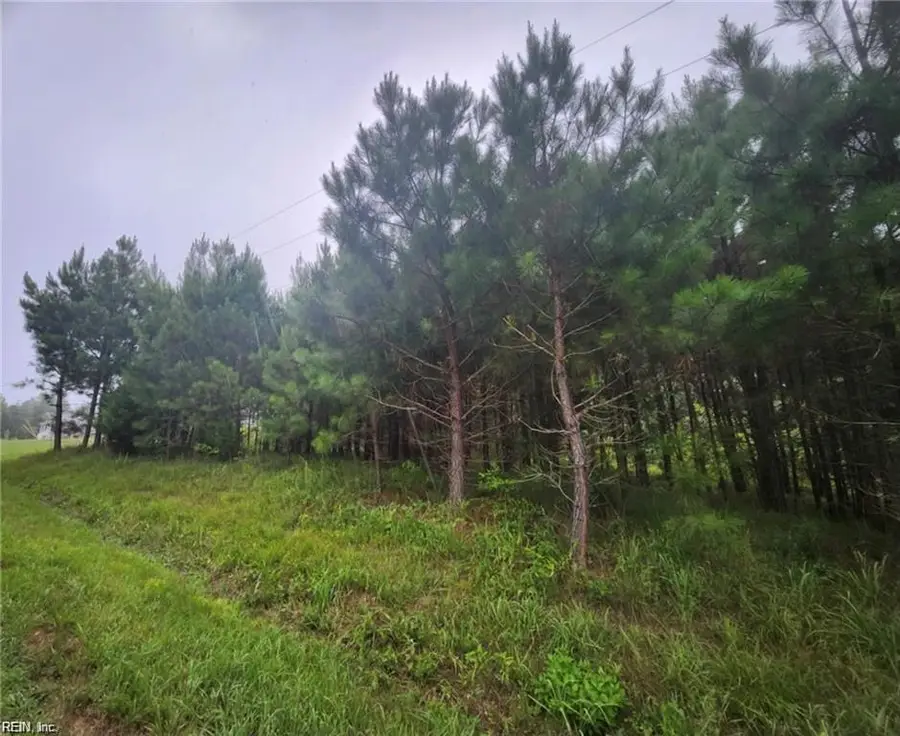 .51+AC Splendors Subd, Chaptico, VA 24563 - #2