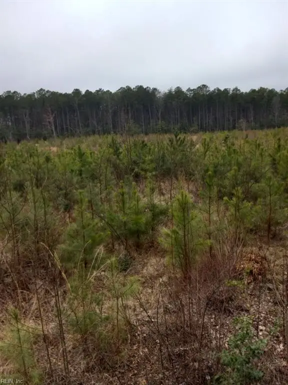 Lot 9 Saw Mill Lane, Gloucester, VA 23061