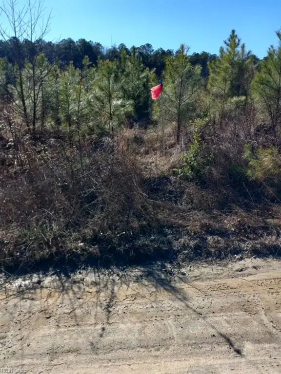 Lot 9 Saw Mill Lane, Gloucester, VA 23061 - Image #3
