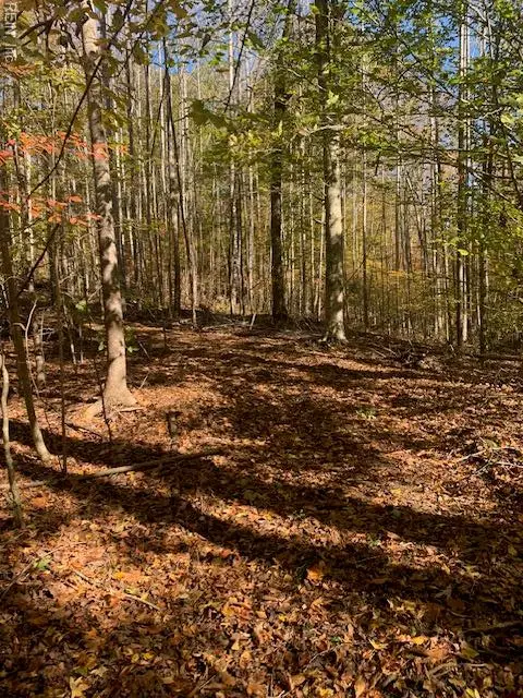 17+ac T.c. Walker Rd (off Of). Rt. 629 Lane, Gloucester, VA 23061 - Image #2