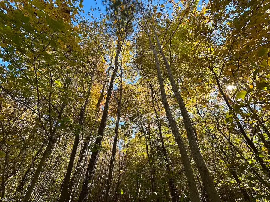 467AC Baum Road, Virginia Beach, VA 23457 - Image #2