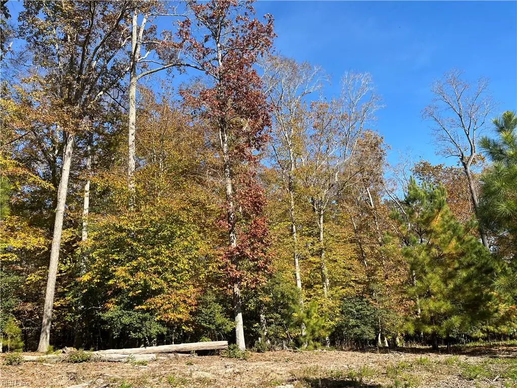 2425 Jolly Pond Road, Williamsburg, VA 23188 - Image #1