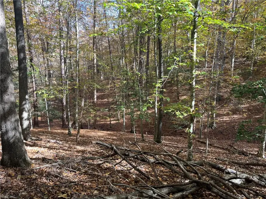 2425 Jolly Pond Road, Williamsburg, VA 23188 - Image #2