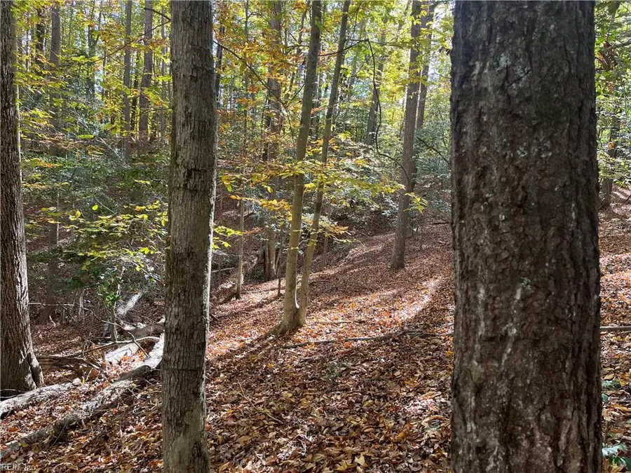 2425 Jolly Pond Road, Williamsburg, VA 23188 - Image #3