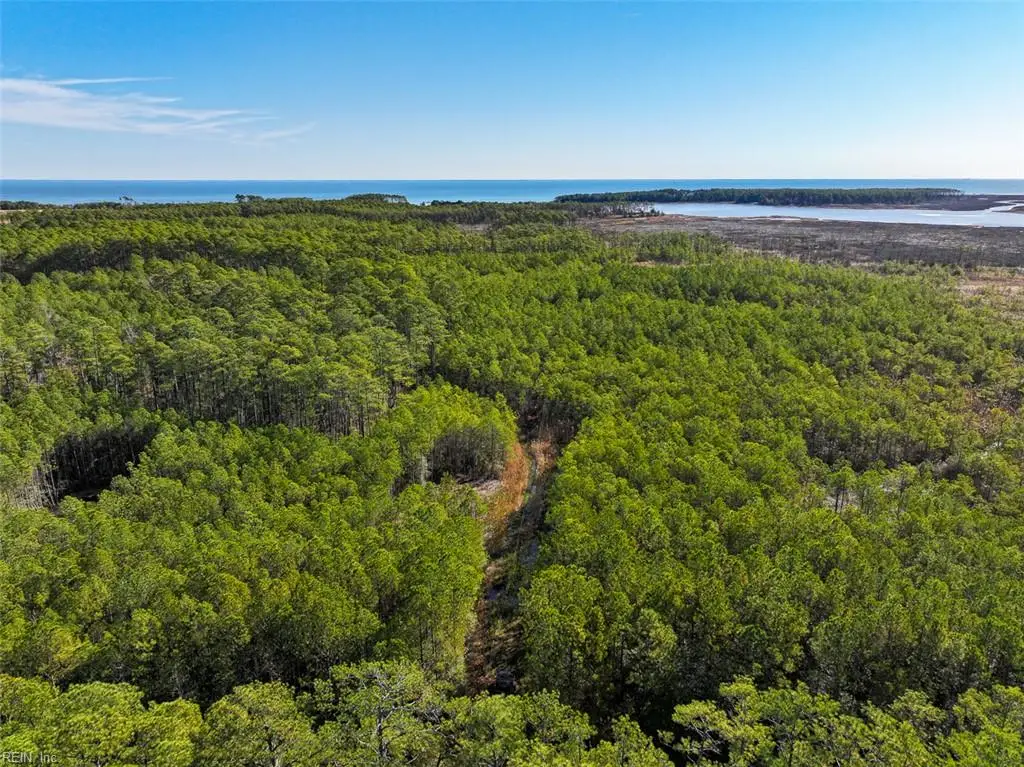 200+AC Buzzard Point (off Of) Road, Diggs, VA 23045 - Image #1