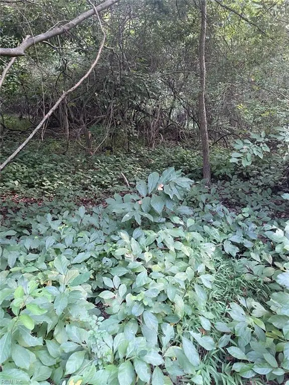 200 Campbell Lane, Newport News, VA 23602