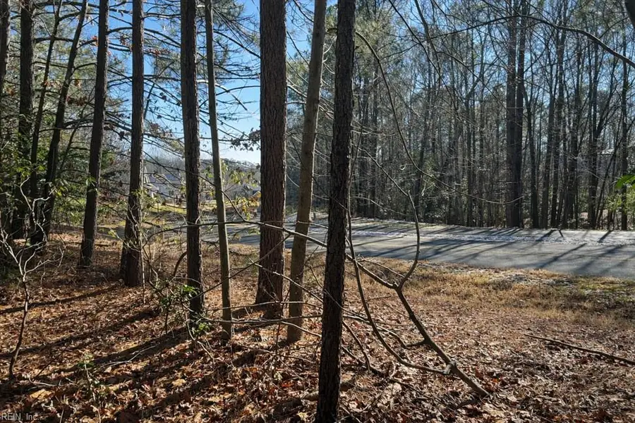 9983 Mill Pond Run, Toano, VA 23168 - #3