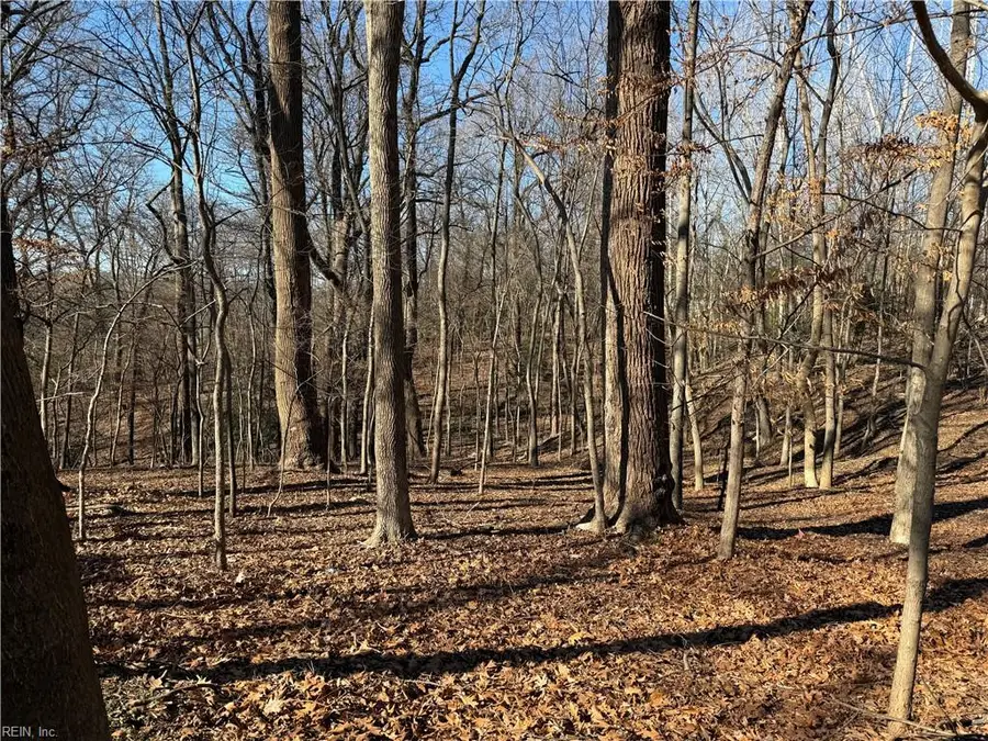 1920 Carter Street, Richmond, VA 23220 - Image #3