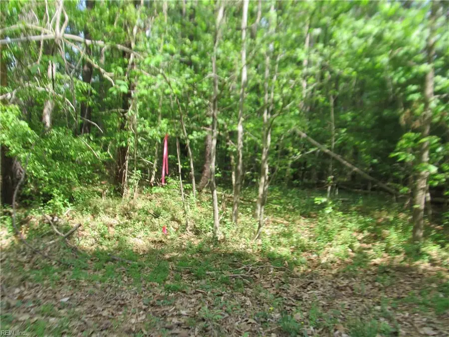 LOT 80 Poplar Springs Drive, Gloucester, VA 23061 - #3