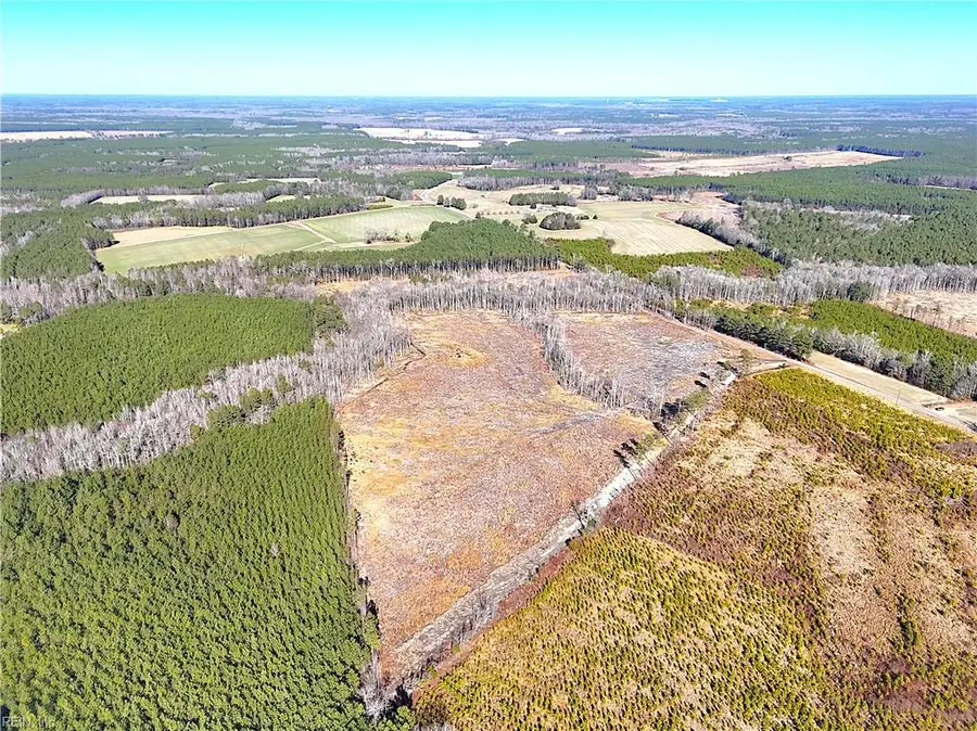 31.5ac Courthouse Road, Waverly, VA 23890 - #3