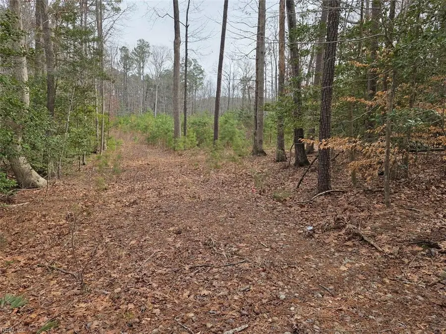 3.1+AC Buckskin Trail, Gloucester, VA 23061 - #2
