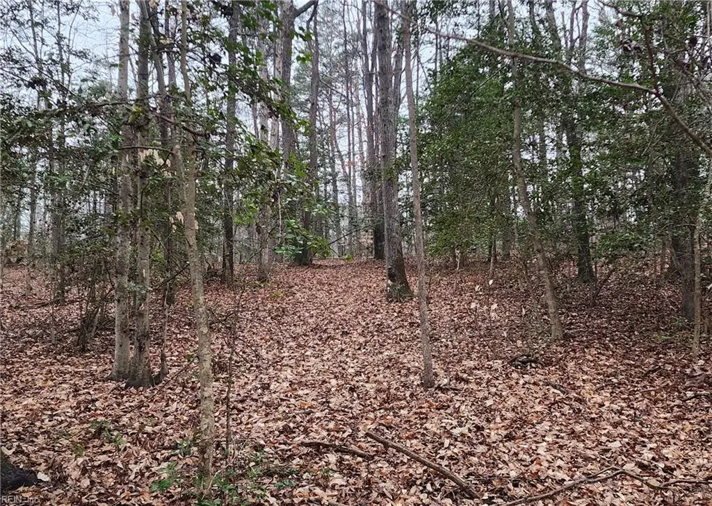 5.23Ac Courthouse Road, Providence Forge, VA 23140 - #1