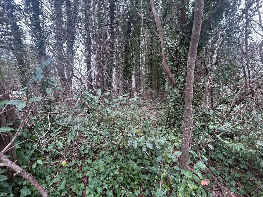 Lot 23 Lovers Lane, Windsor, VA 23487 - #2