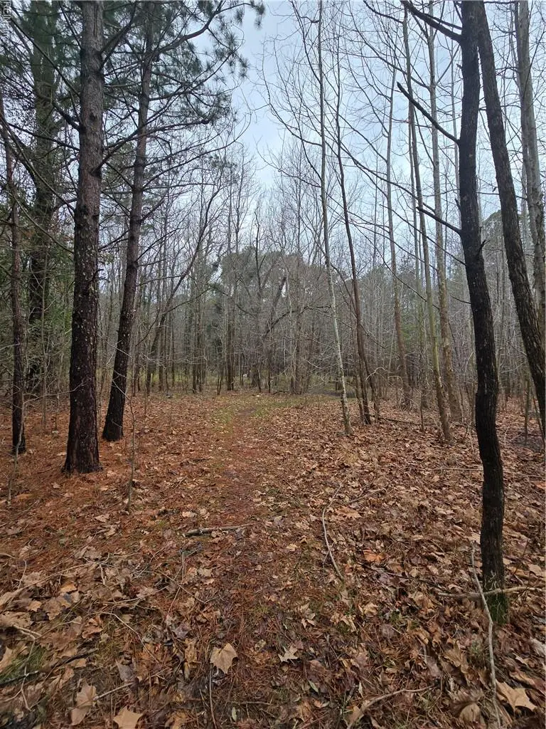 4200 John (301728600) Street, Suffolk, VA 23435 - #3