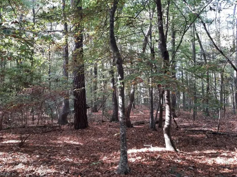 6608 Blackwater Road, Virginia Beach, VA 23457 - #1